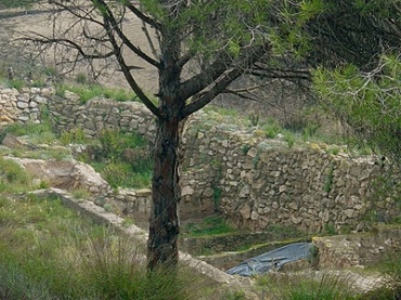 The Arab Fort can be found in the sand dunes - over 2000 years old